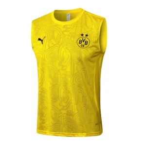 Borussia Dortmund Chándal 2024 2025 Amarillo - Tuta Borussia Dortmund | tiendasdefutboles