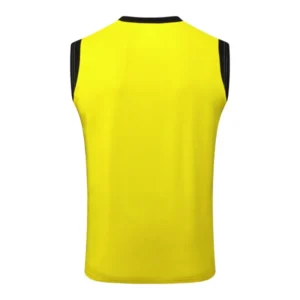 Borussia Dortmund Chándal 2025 2026 Amarillo - Chándal Borussia Dortmund | tiendasdefutboles