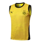 Entrenamiento Sin Mangas Borussia Dortmund 2025 2026 Amarillo
