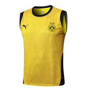Borussia Dortmund Chándal 2025 2026 Amarillo - Chándal Borussia Dortmund | tiendasdefutboles