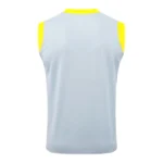 Entrenamiento Sin Mangas Borussia Dortmund 2025 2026 Gris Amarillo