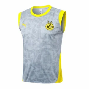 Borussia Dortmund Chándal 2025 2026 Gris - Chándal Borussia Dortmund | tiendasdefutboles