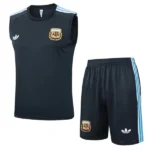 Argentina Conjunto 2026 Gris - Maglia Argentina 2026 | tiendasdefutboles