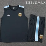 Entrenamiento Sin Mangas Conjunto Completo Argentina 2026 Gris Marino