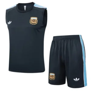 Argentina Conjunto 2026 Gris - Maglia Argentina 2026 | tiendasdefutboles