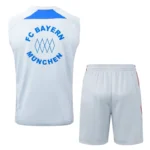 Entrenamiento Sin Mangas Conjunto Completo Bayern Múnich 2025 2026 Gris Azul