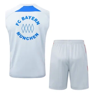 Bayern Múnich Conjunto 2025 2026 Gris - Tuta Bayern Múnich | tiendasdefutboles