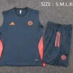 Entrenamiento Sin Mangas Conjunto Completo Bayern Múnich 2025 2026 Gris Marino