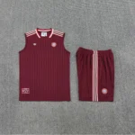 Entrenamiento Sin Mangas Conjunto Completo Bayern Múnich 2025 2026 Gris Azul