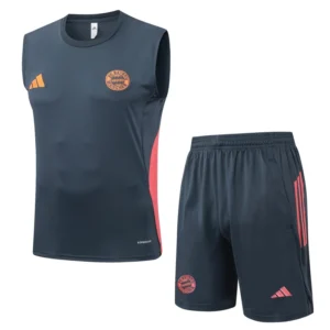 Bayern Múnich Conjunto 2025 2026 Gris - Tuta Bayern Múnich | tiendasdefutboles