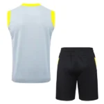 Entrenamiento Sin Mangas Conjunto Completo Borussia Dortmund 2025 2026 Gris Amarillo Negro