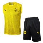 Borussia Dortmund Conjunto 2024 2025 Amarillo - Tuta Borussia Dortmund | tiendasdefutboles