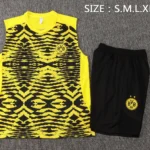 Entrenamiento Sin Mangas Conjunto Completo Borussia Dortmund 2024 2025 Amarillo Negro