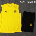 Entrenamiento Sin Mangas Conjunto Completo Borussia Dortmund 2024 2025 Amarillo I Negro