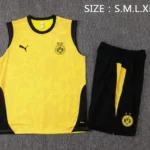 Entrenamiento Sin Mangas Conjunto Completo Borussia Dortmund 2025 2026 Amarillo Negro