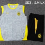 Entrenamiento Sin Mangas Conjunto Completo Borussia Dortmund 2025 2026 Gris Amarillo Negro