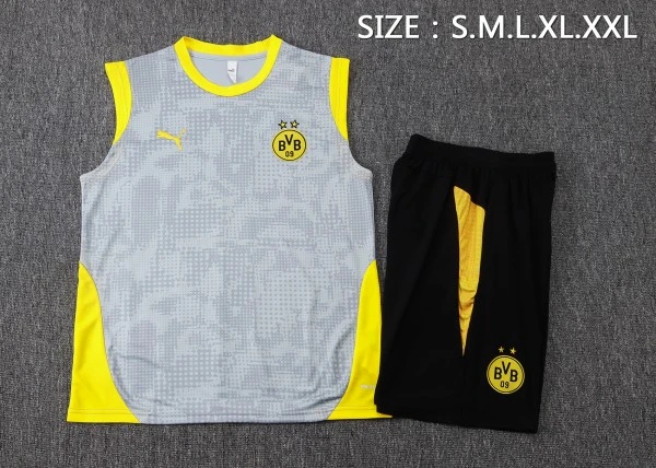 Entrenamiento Sin Mangas Conjunto Completo Borussia Dortmund 2025 2026 Gris Amarillo Negro Borussia Dortmund Conjunto 2025 2026 Gris - Borussia Dortmund Barata | tiendasdefutboles