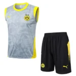 Borussia Dortmund Conjunto 2025 2026 Gris - Borussia Dortmund Barata | tiendasdefutboles
