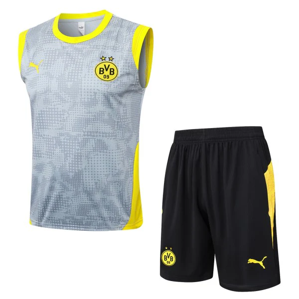 Entrenamiento Sin Mangas Conjunto Completo Borussia Dortmund 2025 2026 Gris Amarillo Negro Borussia Dortmund Conjunto 2025 2026 Gris - Borussia Dortmund Barata | tiendasdefutboles