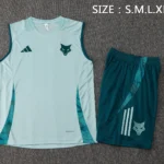 Entrenamiento Sin Mangas Conjunto Completo Cruzeiro 2025 2026 I Verde