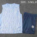 Entrenamiento Sin Mangas Conjunto Completo Manchester City 2024 2025 Azul Claro Gris