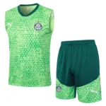 SE Palmeiras Conjunto 2025 2026 Verde - Tuta SE Palmeiras | tiendasdefutboles