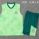 Entrenamiento Sin Mangas Conjunto Completo Palmeiras 2025 2026 Verde