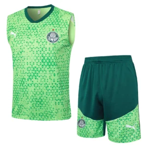 SE Palmeiras Conjunto 2025 2026 Verde - Tuta SE Palmeiras | tiendasdefutboles