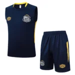 Santos Conjunto 2025 2026 Azul - Maglia Santos Neymar | tiendasdefutboles