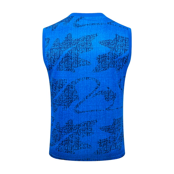 Entrenamiento Sin Mangas Francia 2026 Azul Francia Chándal 2026 Azul - Maglia Francia 2026 | tiendasdefutboles