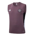 Manchester United Chándal 2025 2026 Púrpura - Maglia Manchester United | tiendasdefutboles
