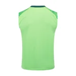 Entrenamiento Sin Mangas Palmeiras 2025 2026 Verde