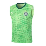 Entrenamiento Sin Mangas Palmeiras 2025 2026 Verde