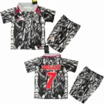 Inglaterra Niños Conjunto 2026 Especial Gris - Inglaterra Niños Barata | tiendasdefutboles