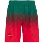 Fourth Pantalones AC Milan 2024 2025 Rojo
