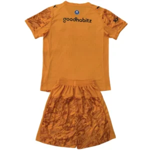 PSV Eindhoven Niños Conjunto 2025 2026 Portero Naranja - PSV Eindhoven Niños Barata | tiendasdefutboles