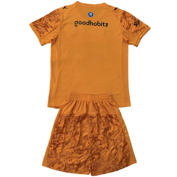 Portero Conjunto De Niños Eindhoven 2025 2026 Naranja PSV Eindhoven Niños Conjunto 2025 2026 Portero Naranja - PSV Eindhoven Niños Barata | tiendasdefutboles