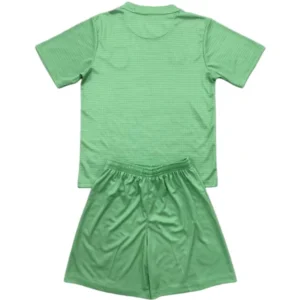 Everton Niños Conjunto 2025 2026 Portero Verde - Tuta Everton Niños | tiendasdefutboles