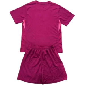Tottenham Hotspur Niños Conjunto 2025 2026 Portero Rosa - Tuta Tottenham Hotspur Niños | tiendasdefutboles