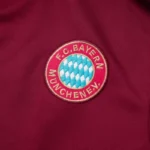 Ropa Deportiva Con Cremallera Larga Bayern Múnich 2025 2026 Borgona