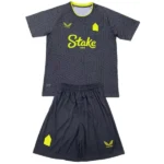 Everton Conjunto 2024 2025 Segunda Gris - Maglia Everton | tiendasdefutboles