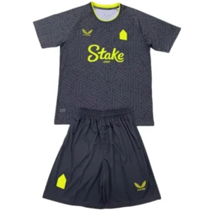 Everton Conjunto 2024 2025 Segunda Gris - Maglia Everton | tiendasdefutboles