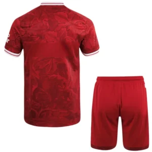 VfB Stuttgart Conjunto 2025 2026 Segunda Rojo - Vfb Stuttgart Equipacion | tiendasdefutboles
