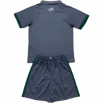 Segunda Conjunto De Niños Cardiff City 2024 2025 Gris