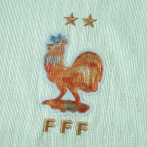 Francia Camiseta Edición Jugadores 2026 Segunda Verde - Camiseta Francia Mundial 2026 | tiendasdefutboles