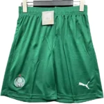 Segunda Pantalones Palmeiras 2025 2026 Verde