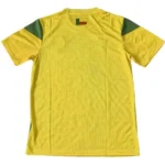 Tailandia Casa Camiseta Benin 2023 Amarillo