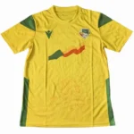 Benin Camiseta 2023 Casa Amarilla - Camiseta Benin | tiendasdefutboles