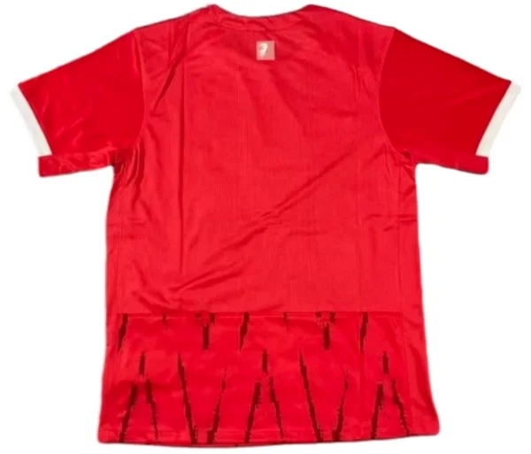 Tailandia Casa Camiseta Freiburg 2024 2025 Rojo SC Freiburg Camiseta 2024 2025 Casa Roja - Camiseta Sc Freiburg | tiendasdefutboles