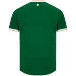 Tailandia Casa Camiseta Irlanda 2026 Verde